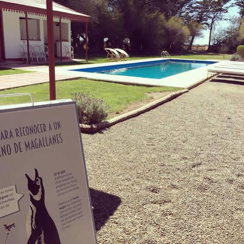 Hotel El Pedral Puerto Madryn Zewnętrze zdjęcie